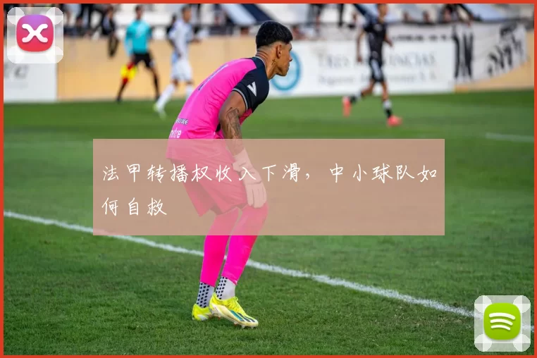 法甲转播权收入下滑，中小球队如何自救