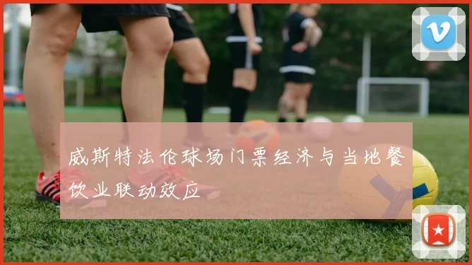 威斯特法伦球场门票经济与当地餐饮业联动效应