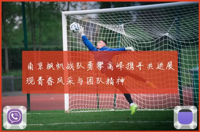 南京枫帆战队勇攀高峰携手共进展现青春风采与团队精神