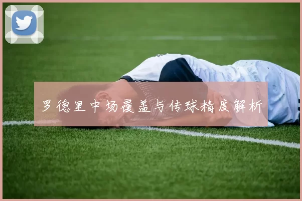 罗德里中场覆盖与传球精度解析