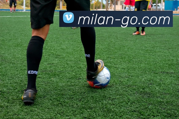 App Interface Preview